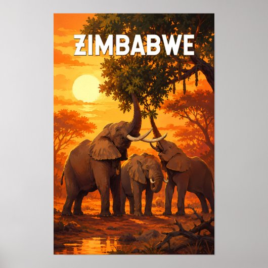 Zimbabwe Illustratie Reis Kunst Vintage Poster (Voorkant)