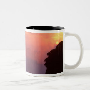 Zimbabwe, Nationaal park Victoria Falls. Nevelig Tweekleurige Koffiemok