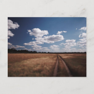 Zimbabwe, Uitzicht op weg bij Linkwasha Airstrip 2 Briefkaart