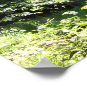 Zimmermanmolen, Minisink Hills Pa Poster (Hoek)