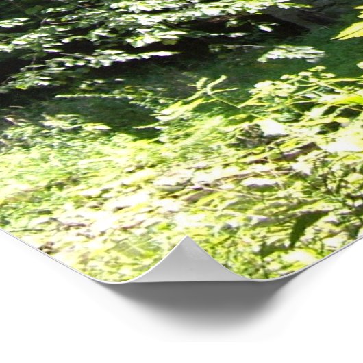 Zimmermanmolen, Minisink Hills Pa Poster (Hoek)