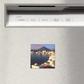 zIN018 PUSHKAR LAKE, India, Azië, Fridge Magneet (Insitu (Vaatwasser))