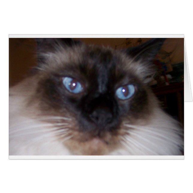 Zin in mijn ogen (Voorkant Horizontaal)