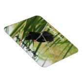 Zing een Joyous Song - Backyard Bird Quote Magnet Magneet (Rechterzijde)
