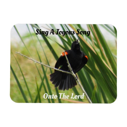 Zing een Joyous Song - Backyard Bird Quote Magnet Magneet (Horizontaal)