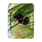 Zing een Joyous Song - Backyard Bird Quote Magnet Magneet (Verticaal)