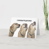 Zing je lofzang kaart (Voorkant)