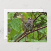 Zing me een Briefkaart (Voorkant / Achterkant)