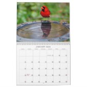 Zing met mij! kalender (Jan 2026)