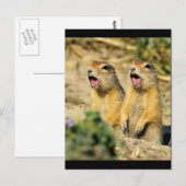 Zing Prairie Dogs Briefkaart (Voorkant / Achterkant)