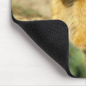 Zing Prairie Dogs Muismat (Hoek)