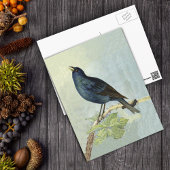 Zingen Blackbird Waterverf Briefkaart