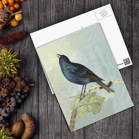 Zingen Blackbird Waterverf Briefkaart