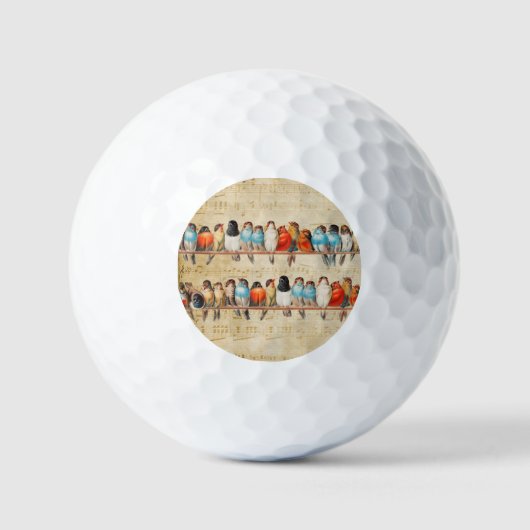 Zingen en strijken golfballen (Voorkant)