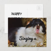 zingend cavia briefkaart (Voorkant / Achterkant)