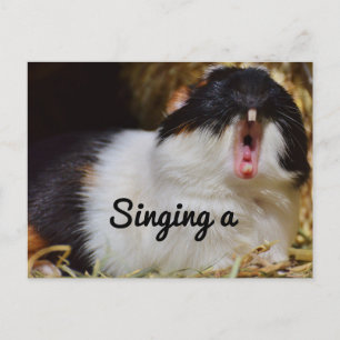 zingend cavia briefkaart