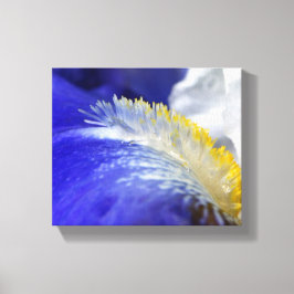 Zingend de Blauwen! Canvas Afdruk