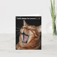 Zingend een Bengale kat "Ik zal altijd je lol houd