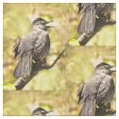 Zingend Grijs Catbird Stof (Close Up)