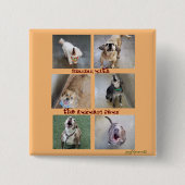Zingend met de Awkward Paws Vierkante Button 5,1 Cm (Voorkant)