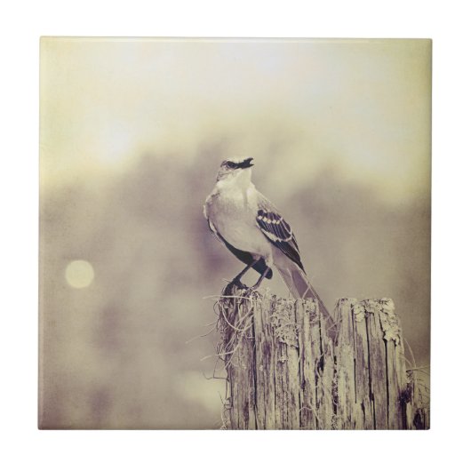 Zingend naar de wereld! tegeltje (Voorkant)