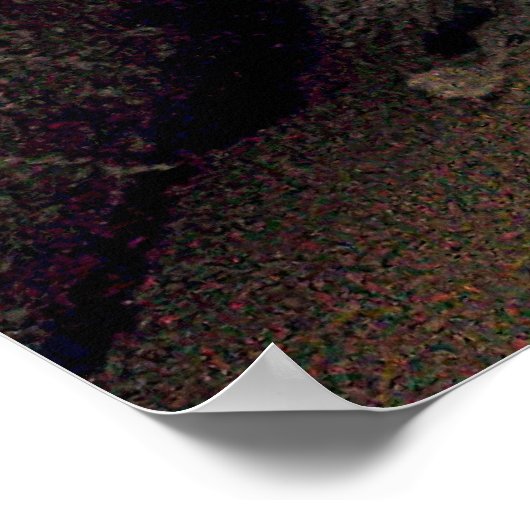 zingend schattig kat poster (Hoek)