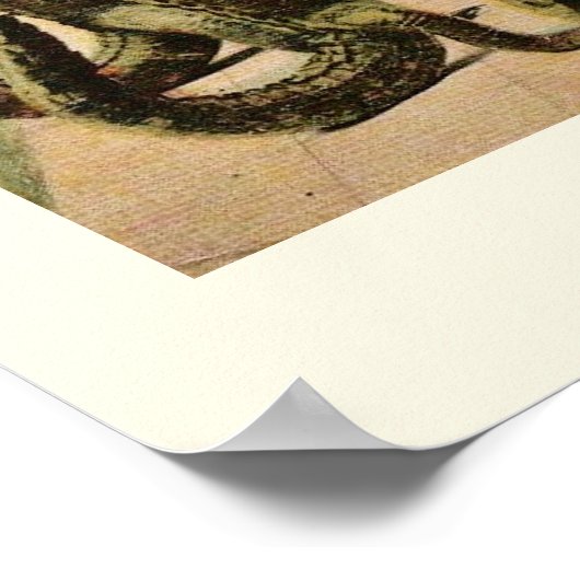 Zingende Alligators Print (Hoek)