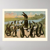 Zingende Alligators Print (Voorkant)