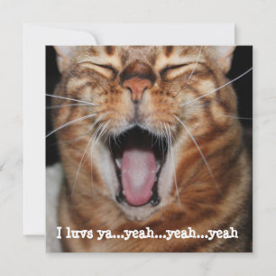 Zingende Bengaalse Kat Verjaardag Valentijn Moeder Feestdagenkaart