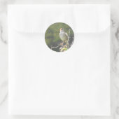 Zingende Bird Ronde Sticker (Tas)