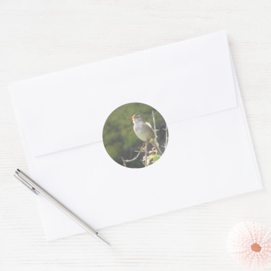 Zingende Bird Ronde Sticker (Envelop)