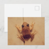 Zingende Coquí Briefkaart (Voorkant / Achterkant)