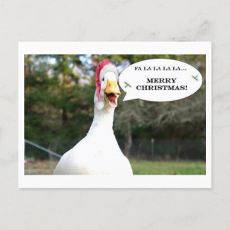 Zingende Duck Holiday Card Feestdagenkaart