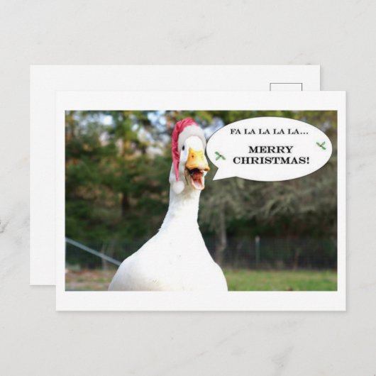Zingende Duck Holiday Card Feestdagenkaart (Voorkant / Achterkant)