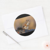 Zingende eekhoorn ronde sticker (Envelop)