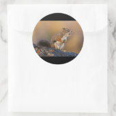 Zingende eekhoorn ronde sticker (Tas)