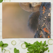 Zingende eekhoorn theedoek (Gevouwen)