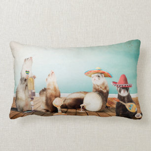 Zingende fretten kussen