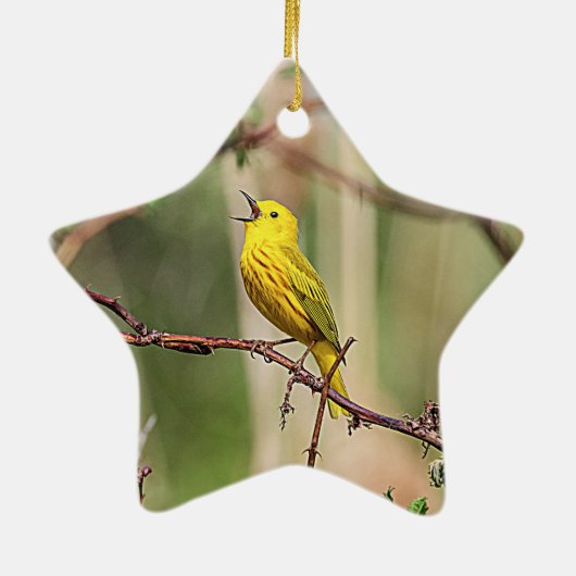 Zingende Gele Zanger Keramisch Ornament (Achterkant)