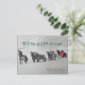 Zingende Geleide Honden: SItka Alaska Malamute Cho Briefkaart (Staand voorkant)