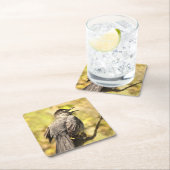 Zingende grijze Onderzetters (Insitu)