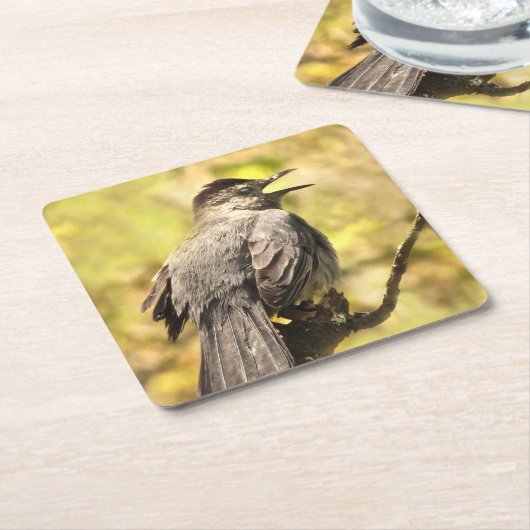 Zingende grijze Onderzetters (Schuin)