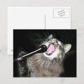 Zingende kat briefkaart (Voorkant / Achterkant)
