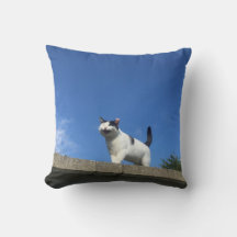 Zingende kat kussen 歌 ク ッ シ ョ う