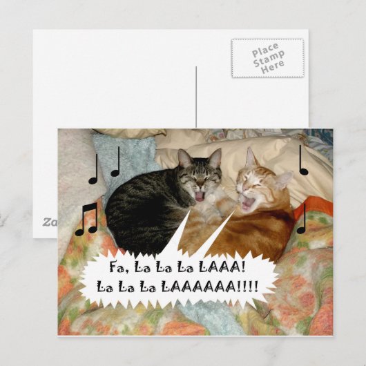Zingende katten briefkaart (Voorkant / Achterkant)