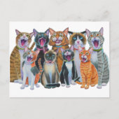 Zingende katten briefkaart (Voorkant)