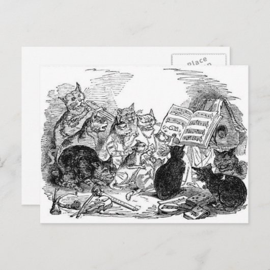  zingende katten briefkaart (Voorkant / Achterkant)