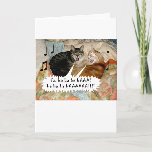 Zingende katten feestdagen kaart (Voorkant)