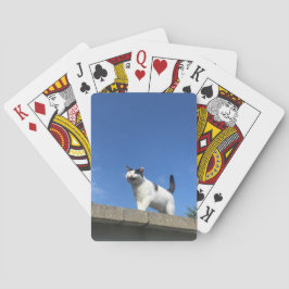 Zingende kattenspeelkaarten 歌 猫 ラ ン プ う pokerkaarten