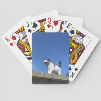 Zingende kattenspeelkaarten 歌 猫 ラ ン プ う pokerkaarten